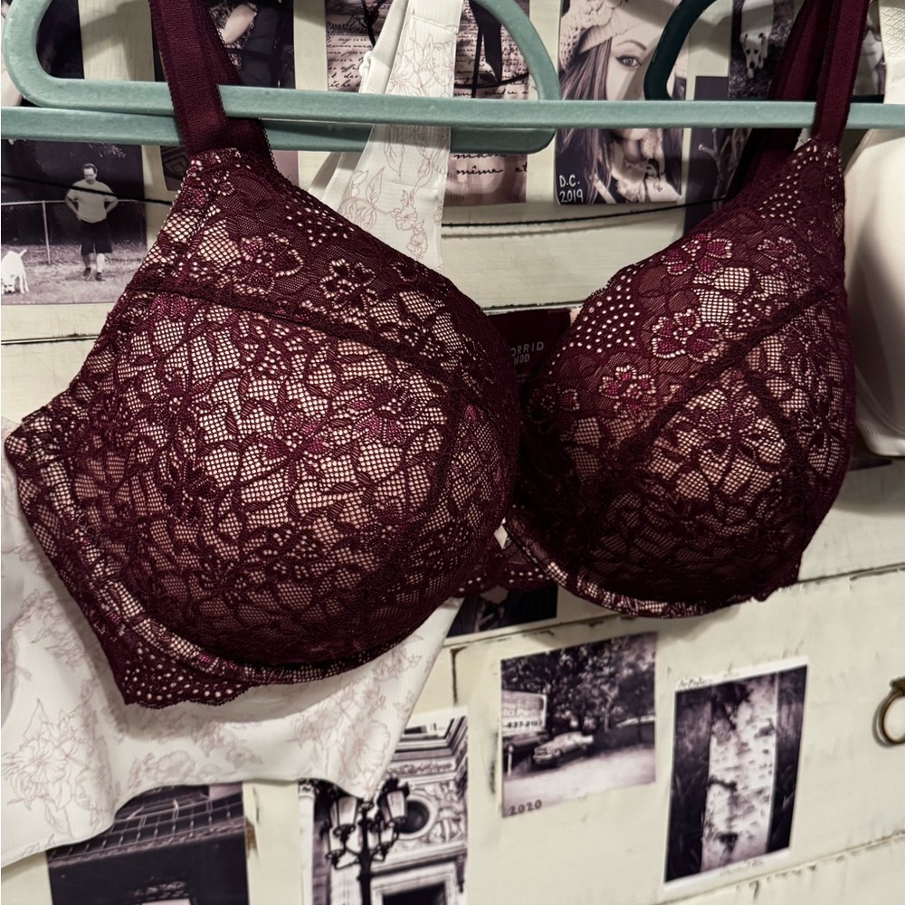 TORRID: Elegant Lace Deep Plum Lace and Blush Color Push-Up Bra